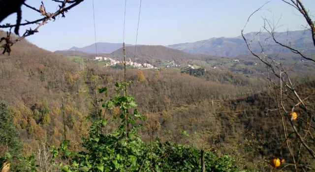 Casa Laika, Rezervați Apartament Maissana Liguria