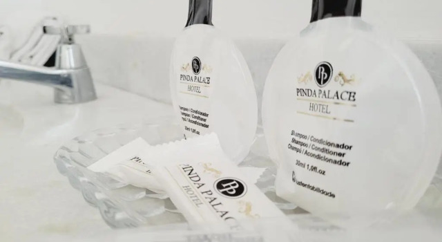 Номер Standard Pinda Palace Hotel