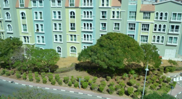 PNE - Furnished spacious bright 1BR