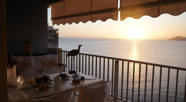 Апартаменты Portofino Playa