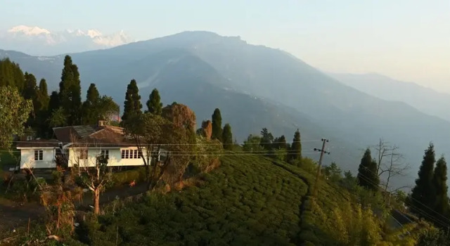 SAY Anita's Temi Guest House, Book Pension Gæstehuse i Sikkim, Pension