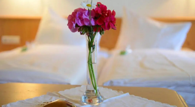 Номер Standard Hotel - Restaurant - Sonnblick
