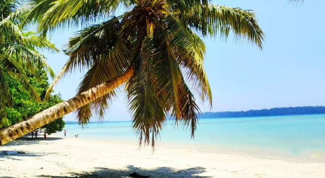 Sangri Las Beach Resort-Havelock Island, Rezerwuj Hotel Hotele w Andaman Islands ze śniadaniem, Śniadanie