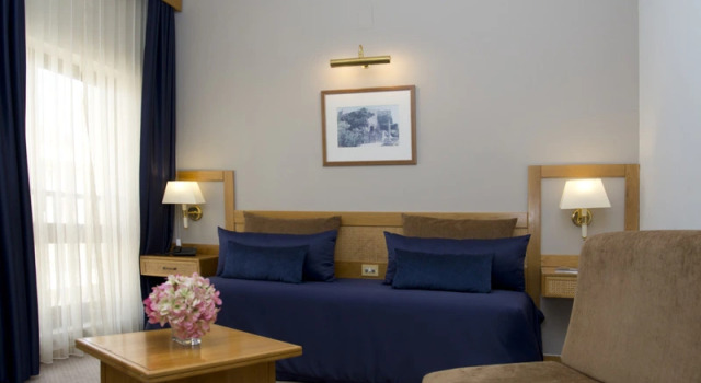 Семейный номер Standard с балконом Hotel Rainha D. Amélia, Arts & Leisure