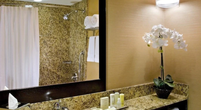 Номер Standard Crowne Plaza Hotel Glen Ellyn/Lombard by IHG