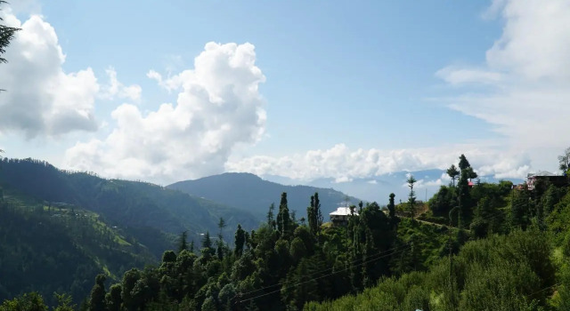Люкс The Jungle Mountain Retreat