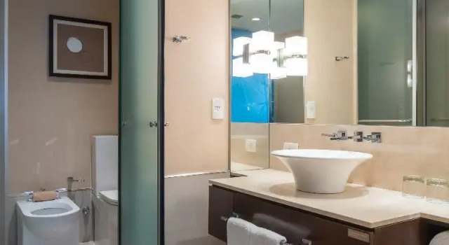 Двухместный номер Deluxe Hilton Mendoza