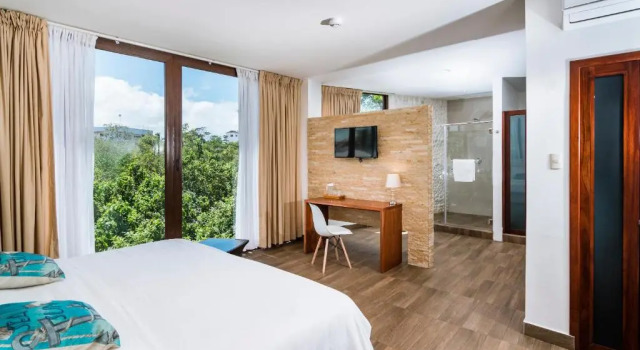 Номер Standard Hotel La Isla