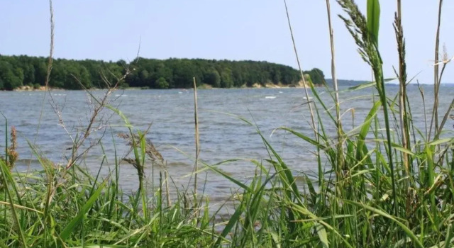 Reetdachhaus Weißdorn 1, Réserver Appartement Puddemin Rügen