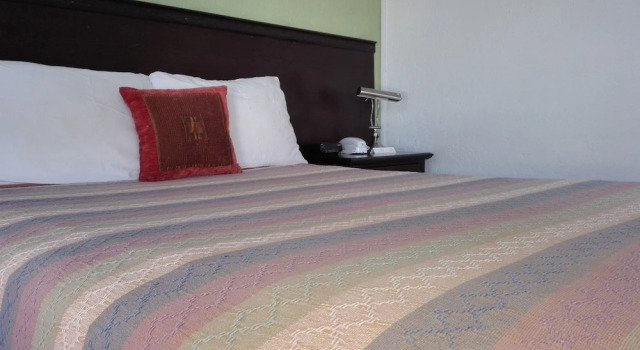 Номер Business President House Hotel - Hostel