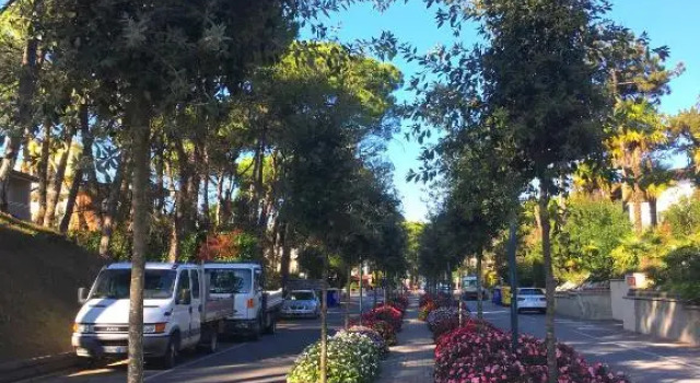 Villa Amedea, Book Villa Hoteller i Friuli Venezia Giulia med parkering, Parkering