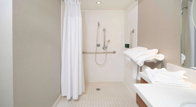 Четырёхместная студия SpringHill Suites by Marriott Philadelphia Valley Forge/King of Prussia