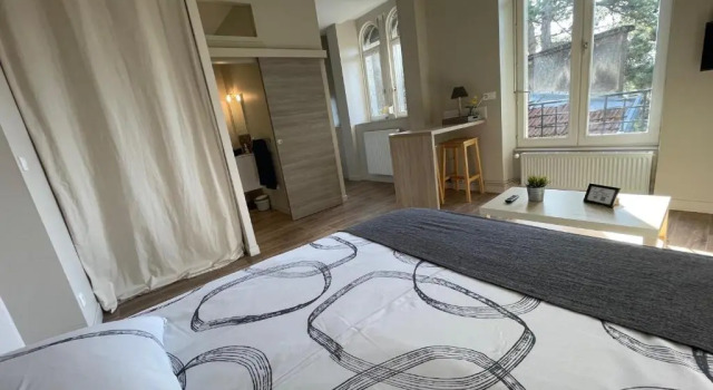 Апартаменты Deluxe Appartment Les Suites Du Parc