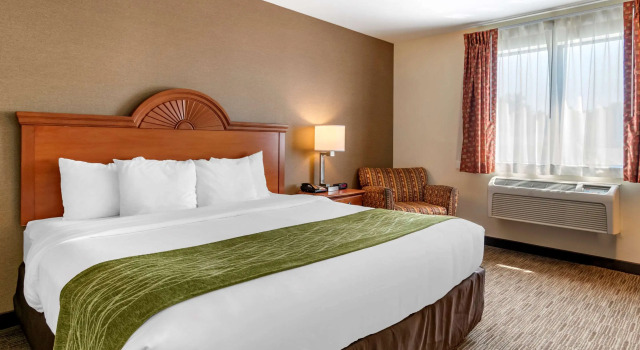 Двухместный номер Standard Comfort Inn Williamsport
