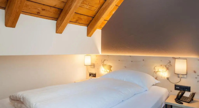 Одноместный номер Standard с видом на озеро Hotel Waldhaus am See