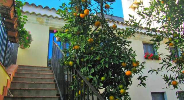 Вилла ComeinSicily Mansion House Lemon Court