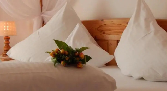 Номер Standard Hotel Bergerhof