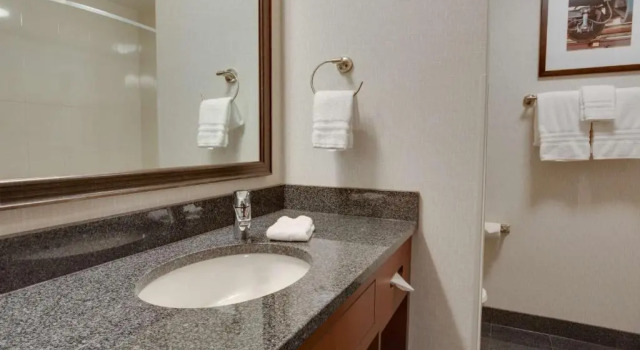 Номер Standard Drury Plaza Hotel St. Louis St. Charles