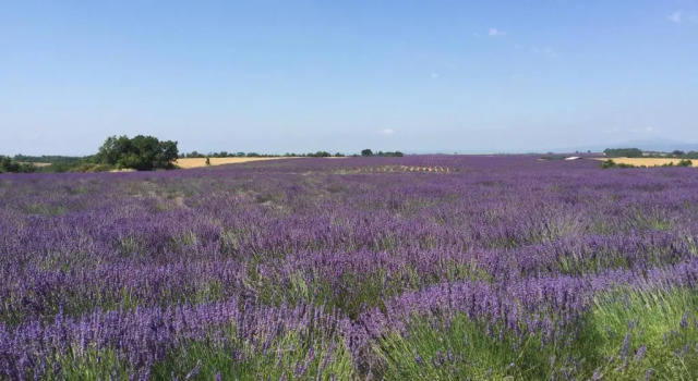 Апартаменты Cottage provencal - Villa saint Marc
