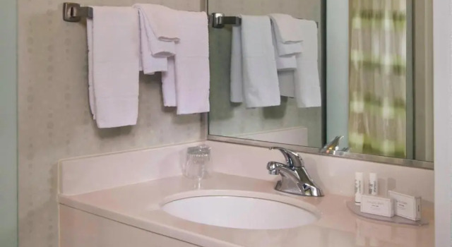 Студия SpringHill Suites Raleigh-Durham Airport/Research Triangle Park
