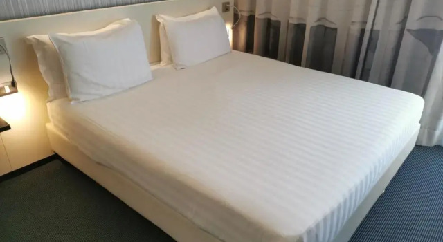 Двухместный номер Superior Ibis Styles Roma Eur