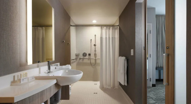 Двухместный люкс c 1 комнатой SpringHill Suites Dallas DFW Airport South/CentrePort