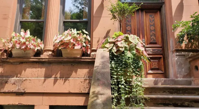 West 119th BB