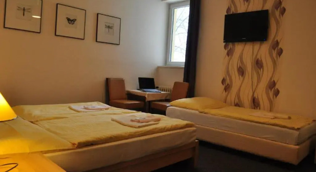 Трёхместный номер Standard Hotel Svornost