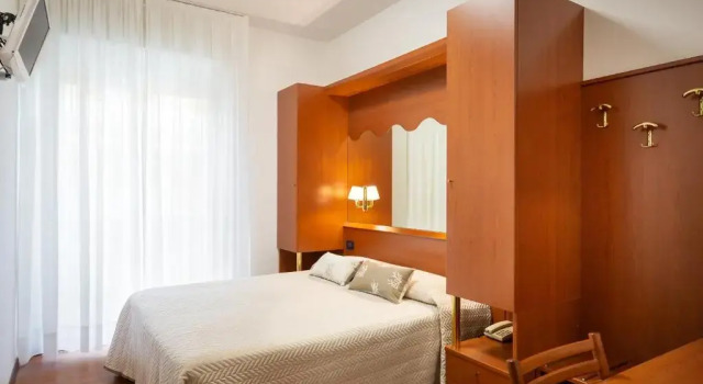 Номер Standard Hotel Delfino
