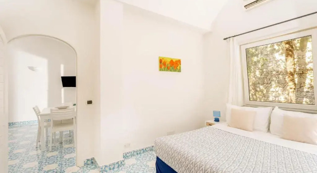 Апартаменты c 1 комнатой Oliveto Capri apartments