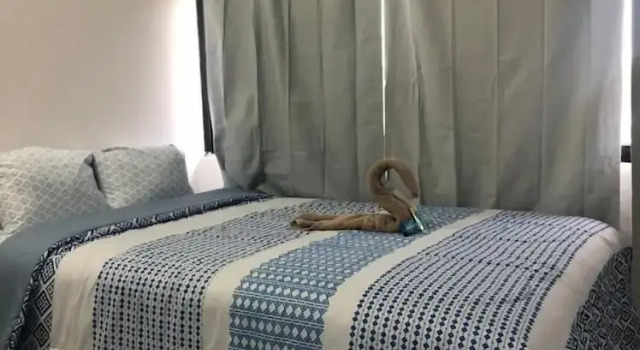 Номер Business Hotel Puerto Real