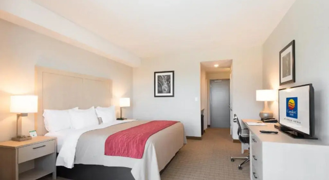 Номер Standard Цокольный этаж Comfort Inn & Suites