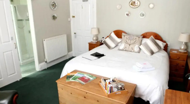 Двухместный номер Standard Camellia Lodge Guest House