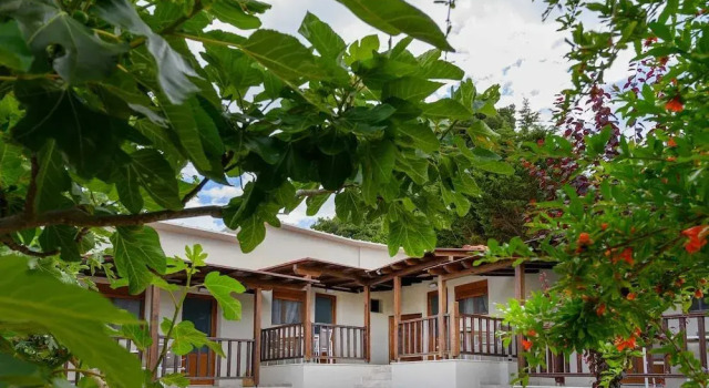 Komitsa Luxury Apartments, Prenota Appartamento Nea Roda Monte Atos