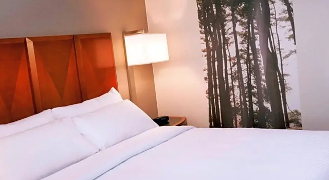 Двухместный люкс Executive c 1 комнатой Detroit Metro Airport Marriott