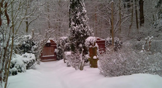 Norwegisches Holzhaus, Reserva ahora Hotel Neuruppin Brandenburgo