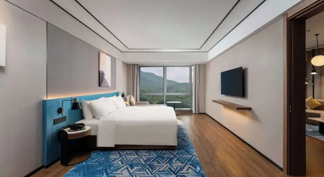 Двухместный люкс Deluxe Hilton Garden Inn Huzhou High-Speed Railway Station