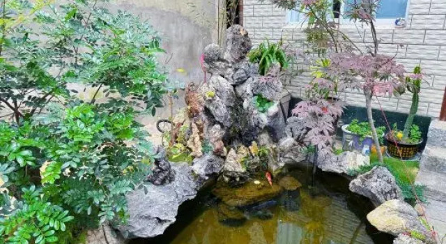 Dali Panshan Tinghai Homestay