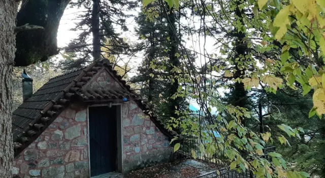 Forest House, Book Apartment Áno Polídhrosos Central Greece