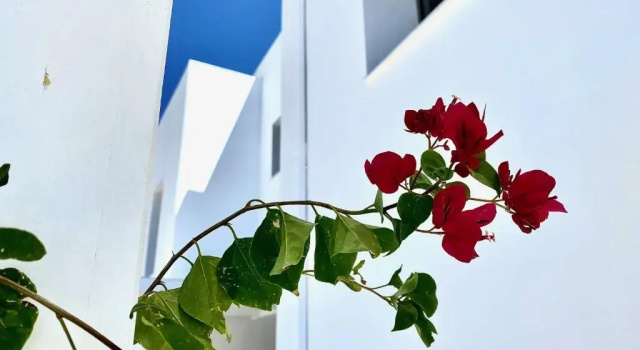 Коттедж Gennadi Harmony Suites - 200m from the sea