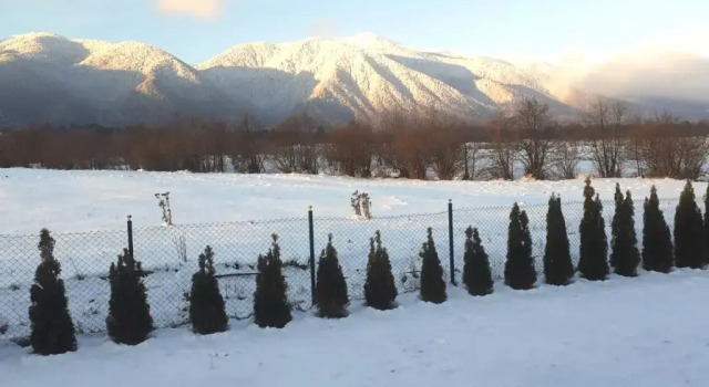Шале Villa Raphael w Jacuzzi near Pirin Golf Resort