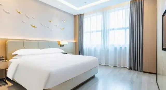 Suite Deluxe Lingguan Hotel
