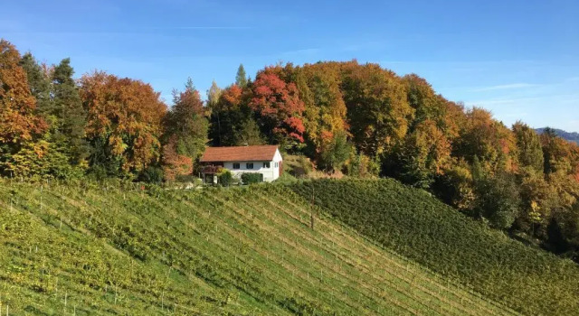 Апартаменты c 1 комнатой Bio-Weingut Leitner