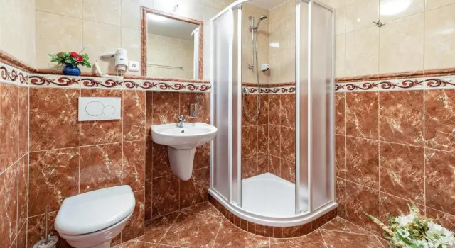 Номер Standard Hotel Kristýna