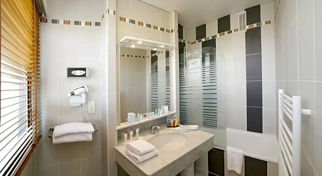 Двухместный номер Standard Hotel Albert 1er