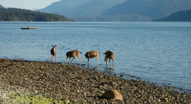 At The Shore Bed and Breakfast