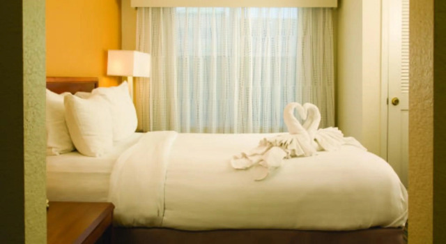 Residence Inn by Marriott Orlando Convention Center
