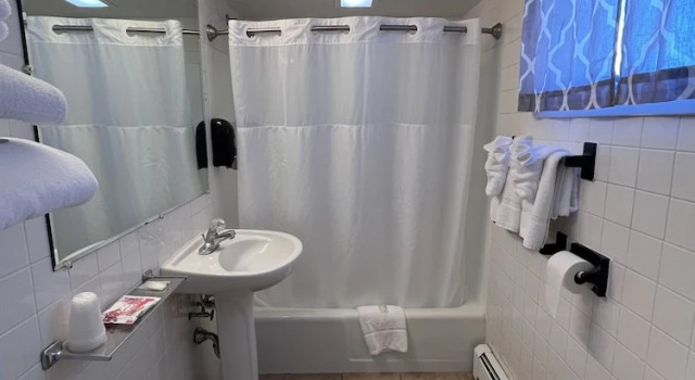 Номер Economy Brewer Motor Inn