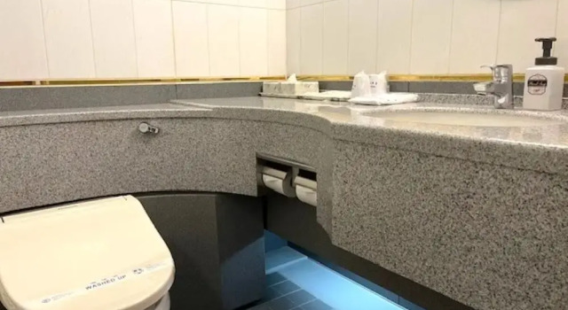 Полулюкс Standard Hotel Seiryu