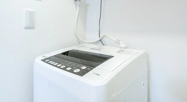 Номер Standard Real Waseda SJ0261